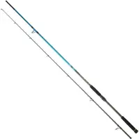 Daiwa Spitfire Seabass Spinhengel