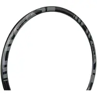 Gtr Rr Disc Velg