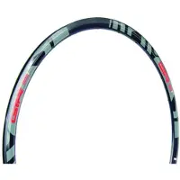 Gtr Rr Disc Velg