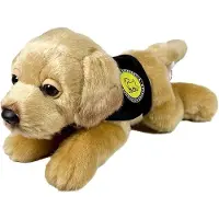 Bocalan Labrador Teddy Met Vest 21 Cm