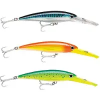 Rapala X-rap Magnum Minnow 22g 110 Mm Veelkleurig