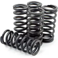 Dp Brakes Hds70-5 Honda Cr125r 2000-2003 Koppelingsveerset 5 Eenheden
