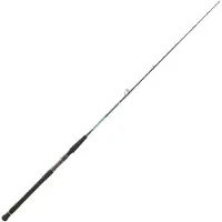 Daiwa Harrier Heavy Duty Jigging Rod Zilver 1.82 m / 100-250 g