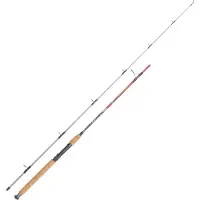 Expert Predator Spigola Spinning Rod Zilver 2.40 m / 10-30 g