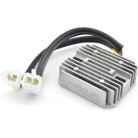 Tecnium Regulator door DZE