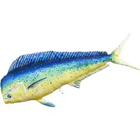 Gaby The Mahi Mahi Giant Pillow Goud