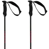 Völkl Rentastick Carbon Stokken