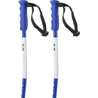 Salomon S/race Sg Junior Stokken