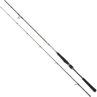 Daiwa Saltist Seabass Spinhengel