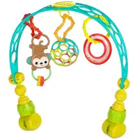 Bright Starts Flex'N Go activity arch