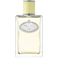 Prada Les Infusions de Gingembre Eau de Parfum 100 ml