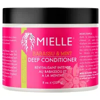 Mielle Organics Babassu Oil Mint Deep Conditioner 227g