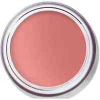 Bobbi Brown Wangen Pot Rouge Velvet Matte 8.5 g