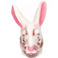 Partyxplosion Masker plastic konijn