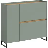 Xonox Home Drive schoenenkast 1 deur, 2 vouwdeuren salvie decor.