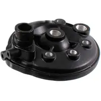 Evok Gilera/piaggio 100070010 Cilinderkop
