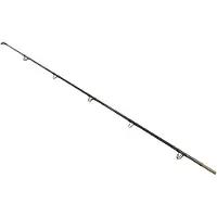 Wizard Catfish Shadow Fishing Rod Quiver Tip 2.7 M Zilver