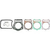 RMS Beauty Piaggio Beverly 500cc 2002/2003 100689500 Complete Pakkingset