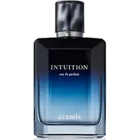 Aramis Herengeuren Intuition Eau de parfum Heren 100ml