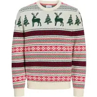 Jack & Jones Trui 'XMAS NOEL' spar / pastelgroen / bloedrood / offwhite