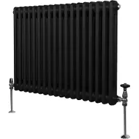 Monster Traditionele radiator met 2 kolommen - 600 x 832 mm - Zwart