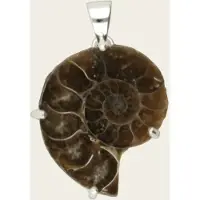 MOOYE ® - Collectie Zilveren Ammoniet versteende schelp negatief kettinghanger