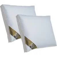Ten Cate Hoofdkussen - Nekklachten - Ganzendons & Ganzenveren - Driekamer - Geschikt voor rug-, zij- en buikslapers - Ergonomisch - 50x60 cm - 2 stuks