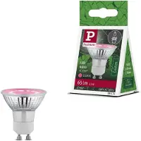 Paulmann LED-plantenlamp groei 230 V GU10 3.5 W Barnsteen 1 stuk(s)