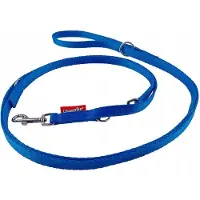 Champion Hondenlijn Verstelbaar Blauw 225cm Breedte 1,3cm