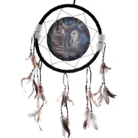Puckator Lisa Parker Sprookjes Uil & FeeDromenvanger 33cm