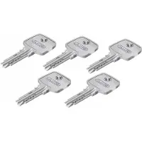ABUS KD10 Cilinderslot met Knop Nikkel 55/30G - 5 Sleutels