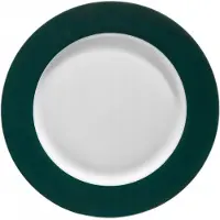 Ambition Aura Groen eetbord bord 27 cm