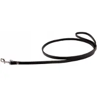 Dino Leren hondenhalsband 8mm x 120cm - Kwaliteit & Stijl