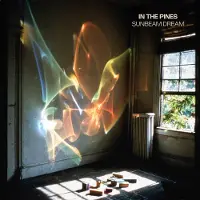 Konkurrent In The Pines - Sunbeam Dream (LP)