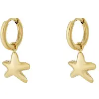Yehwang Sterren oorbellen | Stainless steel oorbellen | Kleine oorbellen | Waterproof sieraden | | Kerst en Sint cadeau