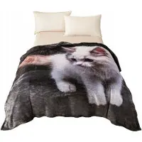 Cotton World Zachte Plaid 160x200cm - Microvezel met Kattenprint
