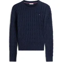 Tommy Hilfiger Trui navy