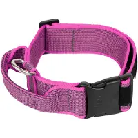 JULIUS K-9 Collar 40 Mm Hondenhalsband