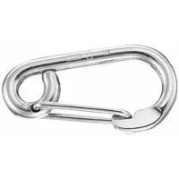 WICHARD Safety Carabiner Zilver 50 mm