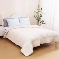 Beau Maison All-in One Lazy Teddy/Velvet Dekbed Pearl White - 2-in-1 Winterdekbed 240 x 220 cm