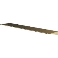 Hotbath &More SH060 planchet 60cm geborsteld messing PVD