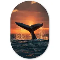 MuchoWow Muurovaal 80x120 cm - Ovale wanddecoratie Walvis staart - Water - Zonsondergang - Ovalen schilderij - Muurdecoratie woonkamer - Kamer decoratie - Schilderijen - Wandcirkel