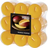 Gala Geur theelichtjes/waxinelichtjes - transparant - 18x - Mango-papaya aroma - 6 branduren