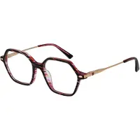 Bulget Brilmontuur BGY6001 E04 50
