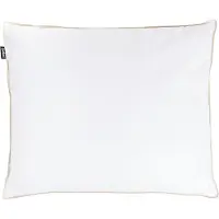 Beliani ETNA - Hoofdkussen 3 vakken - Wit - 50 x 60 cm - Hoog - Eendenveren