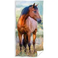 Darymex Gezichtshanddoek paard - handdoek - towel - horse - 30 x 50 cm