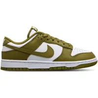 Nike Dunk Low Retro Schoenen