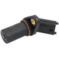 Delphi SS11047 Krukassensor