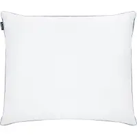 Beliani TEIDE - Hoofdkussen 3 vakken - Wit - 50 x 60 cm - Hoog - Eendenveren