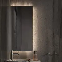 Martens & Meijer Toiletspiegel dublin 40x90 cm met indirecte verlichting 3-zijde, beide kanten te bevestigen